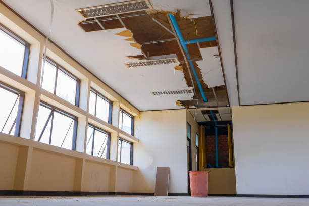 Best Flood damage cleanup  in Nanawale Estates, HI