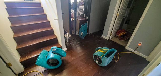 Sewage cleanup and water damage restoration in Nanawale Estates, HI