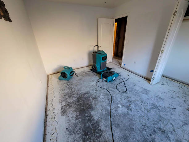 Best Flood restoration services  in Nanawale Estates, HI