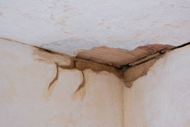 Best Water damage repair service  in Nanawale Estates, HI
