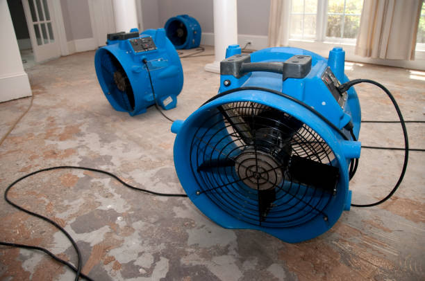 Best Water damage cleanup near me  in Nanawale Estates, HI