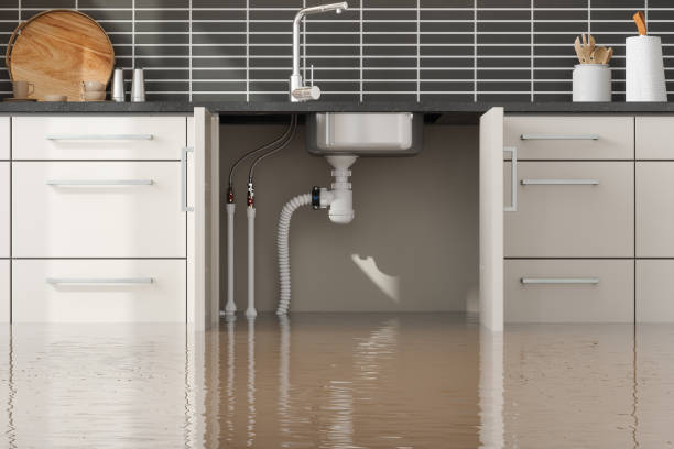 Best Water damage repair service  in Nanawale Estates, HI