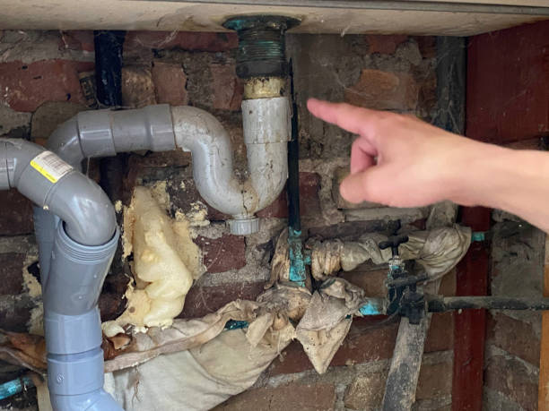Best Water damage restoration near me  in Nanawale Estates, HI