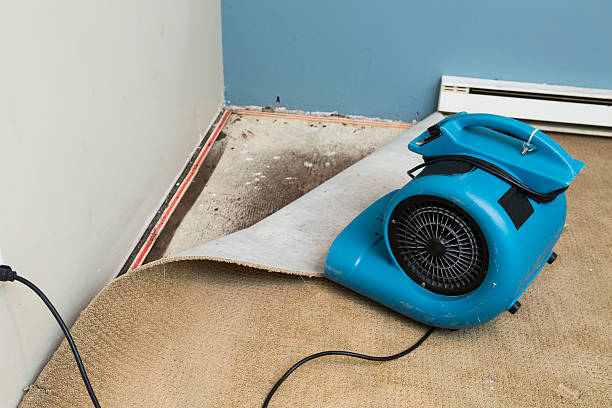 Best Flood damage cleanup  in Nanawale Estates, HI